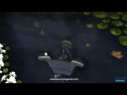 Watch Video on YouTube