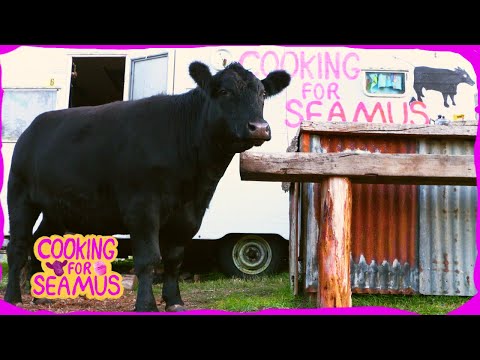 Disabled Rescue Bull Host of Own Cooking Show | Cooking for Seamus
