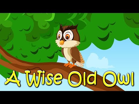 A Wise Old Owl Story  | Popular Nursery Rhyme