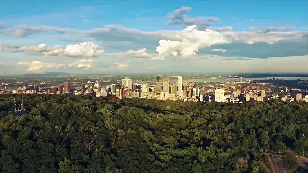 Imagen de previsualización de video
