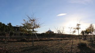 Actividades Cuarto Trimestre 2018