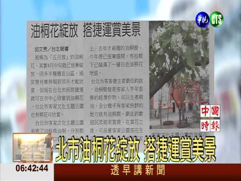 北市油桐花綻放 搭捷運賞美景