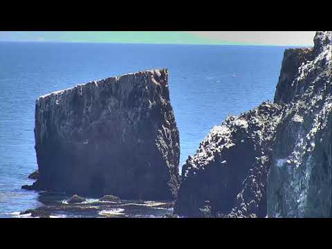 Anacapa Island Cove - Channel Islands National Park Cam 05-25-2018 12:01:18 - 13:01:19