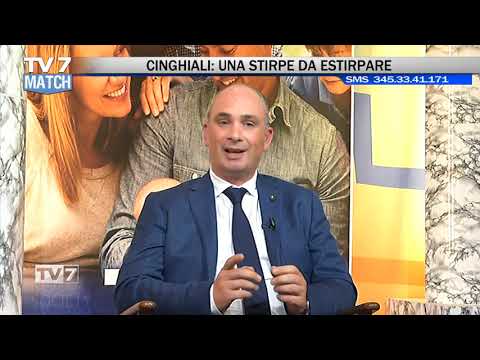 Tv7 Match del 06/09/2019 - NUOVO GOVERNO - CINGHIALI (5DI5)
