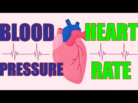 What is Blood Pressure ? || Blood Pressure VS Heart Rate || HEART RATE चेक करना सीखे