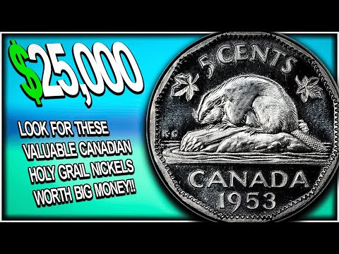 1953 NICKELS WORTH "HUGE MONEY" -  Near Leaf, Far Leaf, Shoulder Fold, NSF Explained!!