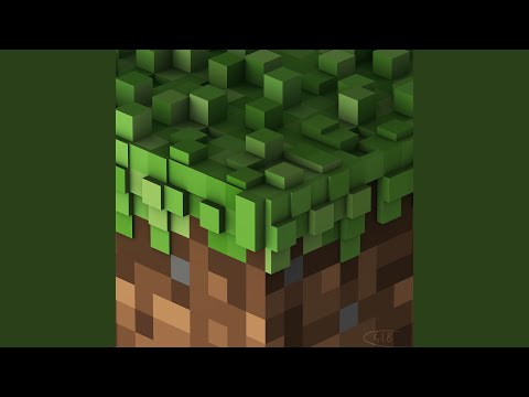 C418 - Wet Hands cover