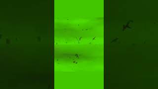 Download lagu ||Heavy wind|| Green Screen Video|| mp3