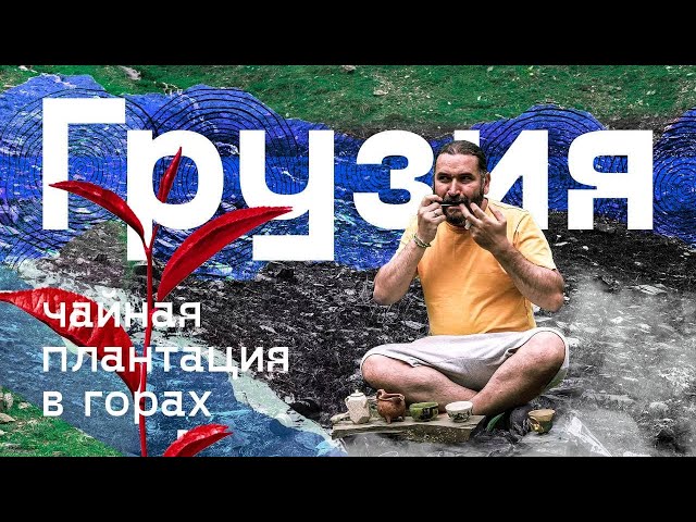 Грузия. Горы, дороги и наша чайная плантация.