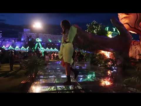 Lovely Electric Daisy Carnival Las Vegas 2019