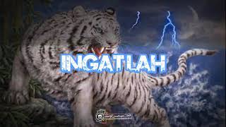 Download lagu story WA khodam pagar nusa macan putih mengerikan🔥🔥 mp3