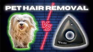 ASMR Pet Hair Removal From Car Interior | Analan Pet Hair Brush | Oddly Satisfying