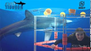 DIA 2 Expo Tiburon310