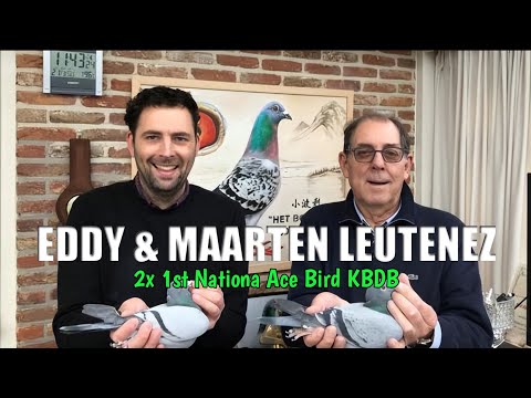 Shift towards the long-distance - 1st NATIONAL ARGENTON 2018 and 2x National Ace Pigeon KBDB.