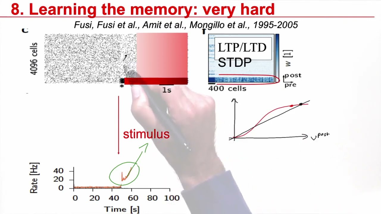 NDC6.8 - Online Learning of Memories (Zenke Model)