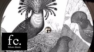 Anna Lunoe & Touch Sensitive - Real Talk