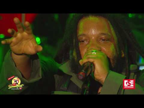 Reggae Sumfest 2017 - Stephen Marley (Part 3 of 6)