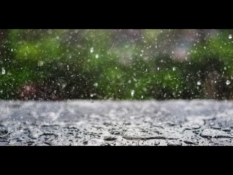 Nga shenjat e Kijameti janë dhe reshjet e shirave pa bereqet! - Dr. Imam Ahmed Kalaja