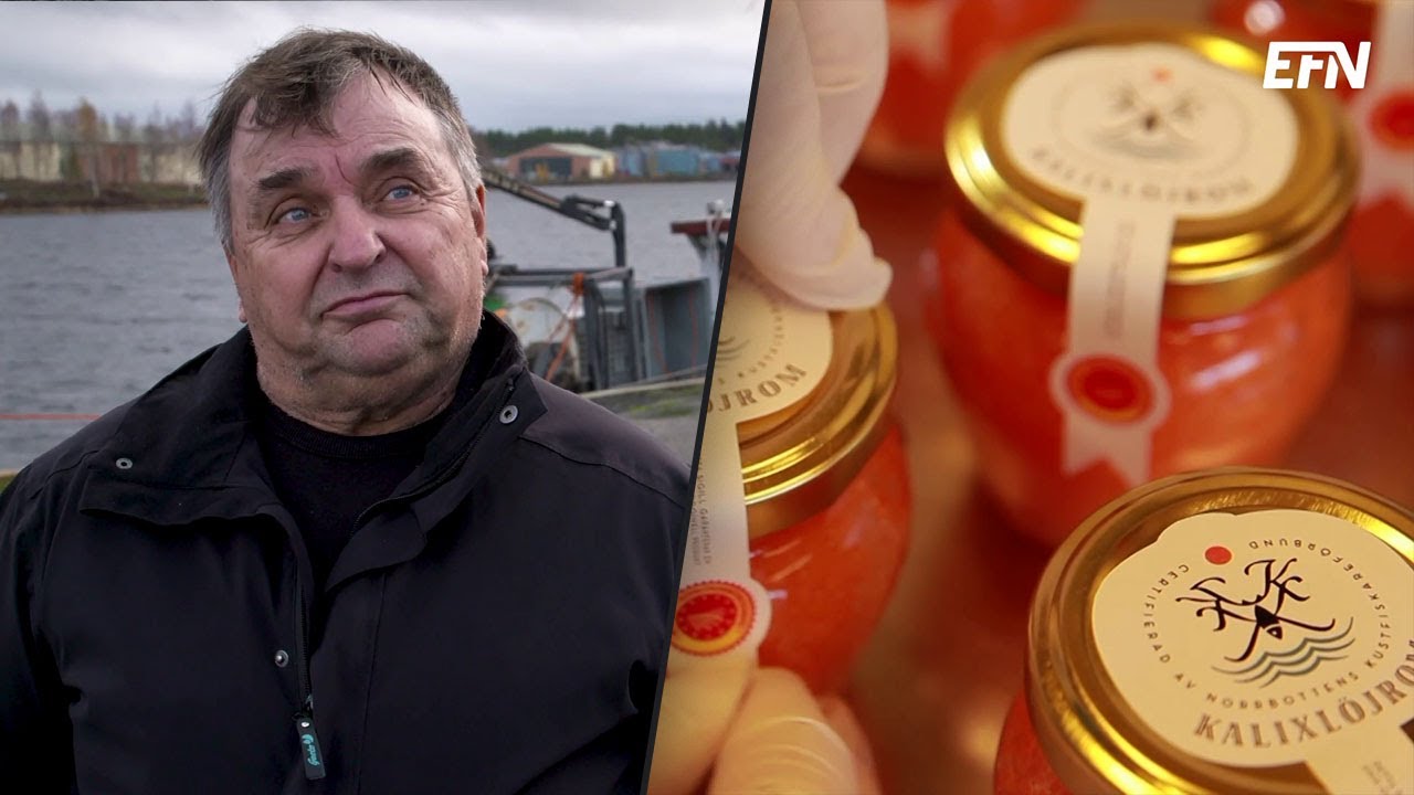 Regleringar – hot eller möjlighet för Kalix löjrom