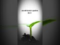 As You Sow So Shall You Reap Shorts Law Of Attraction Universe Motivational Inspirational