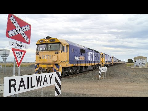 7737V Pacific National Grain Train Arrives At Gheringhap Loop - 8146 8149 8171 (25/1/2024) - PoathTV