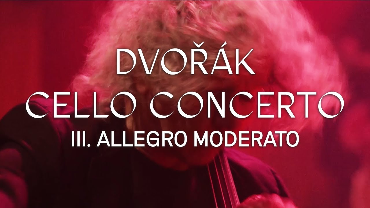 Video Image