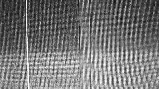 THE  ICARUS LINE ALL THINGS UNDER HEAVEN OCT 2 WORLDWIDE