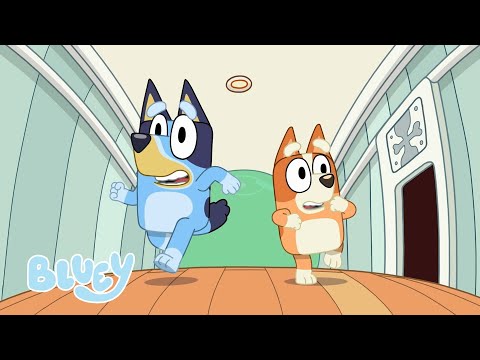 Capa de Melhores Momentos de Irmãos | Bluey Português Brasil Canal Oficial