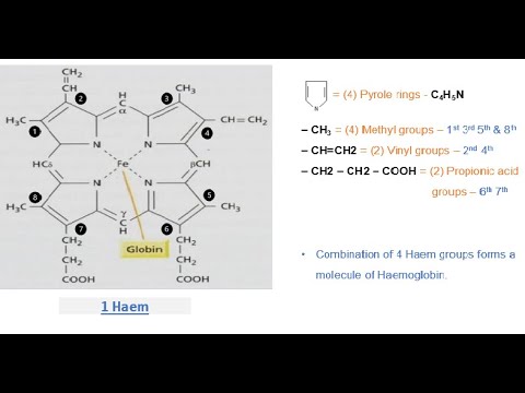 Typhoid fever Salmonella typhi Causes symptoms diagnosis treatment Bio science