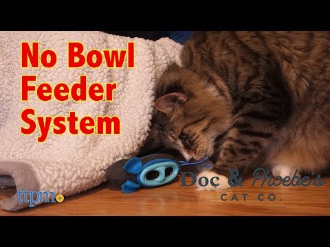 download lagu mp3 mp4 Doc And Phoebe No Bowl, download lagu Doc And Phoebe No Bowl gratis, unduh video klip Doc And Phoebe No Bowl