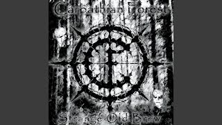 Martyr / Sacrificulum