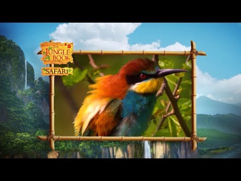The Jungle Book Safari - Episode 9 -  Beautiful