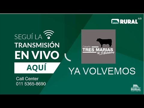 20/08/2020 - Cabaña Tres Marías - Benito Juarez, Buenos Aires