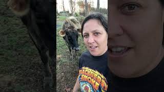 Take out as many birds as you can with one stone! 😃 #truegritappalachianways