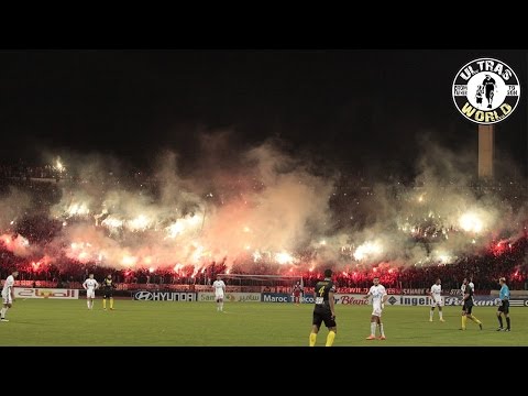 Top-5 Ultras of the Week (26.01 - 01.02)  #worldofultras