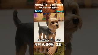 Part3｜夢を叶えてくれた存在｜陽気なヨーキーと18年の記憶【Mr.シュミット】 #愛犬との暮らし #AIオリジナルソング #ペットロス