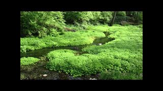 [問題] Altec Lansing VS2120同級+插卡式喇叭