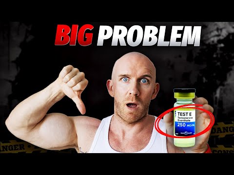 Testosterone Cycle: Must Watch!