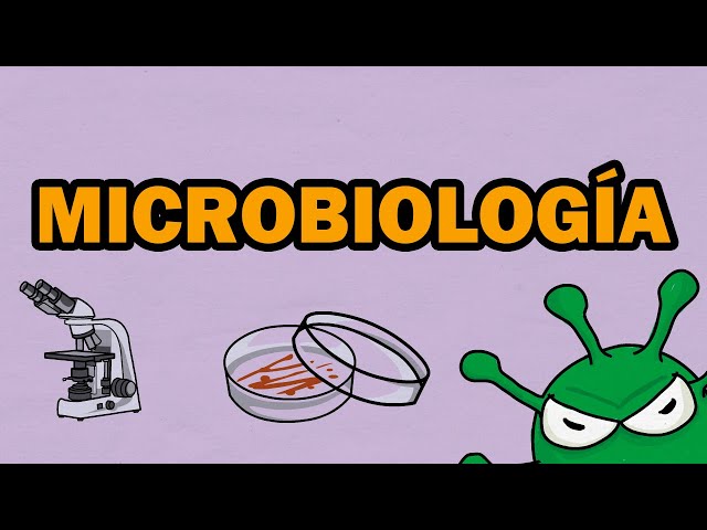 Vídeo relacionado con MICROBIOLOGÍA ALIMENTARIA. ROSARIO PASCUAL ANDERSON