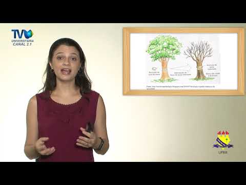 ALÔ VESTIBULANDO_QUESTÃO 22 - VESTIBULAR UFRR 2019 - BIOLOGIA