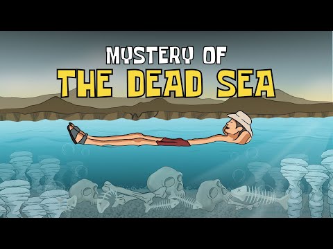 Is Dead Sea Really Dead? (The Mystery of Saltiest Sea on Earth) | Animated Science