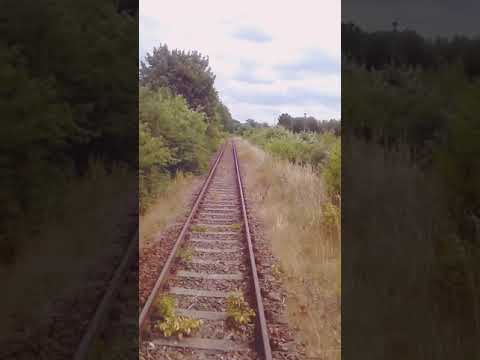 Eine Fahrt durch das Grüne