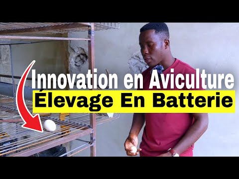 , title : 'Innovation en Aviculture: Projet Avicole Semi-industriel en batteries ou cages!'
