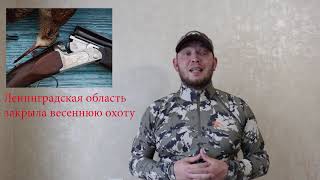 Ссылка