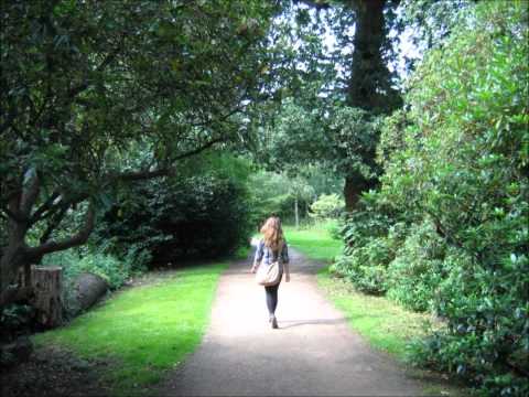 Jaromír Podešva - the fourth part out of five from his Rhapsodietty