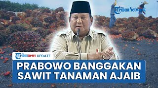 Prabowo Sindir Kelompok yang Nyinyir soal Kelapa Sawit: Itu Tanaman Ajaib, Banyak Negara yang Minta