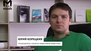 Mash: Юрий Корецких о вольерной охоте и Николай Валуев о зоорадикалах 