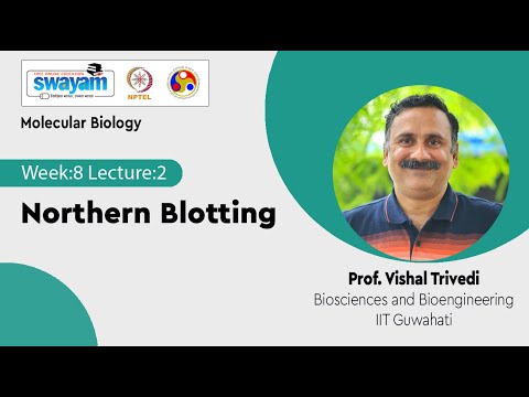 Molecular Biology Introduction Video