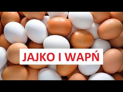 Anatomia półścięgnistego Kulturystyka motywacja 2017