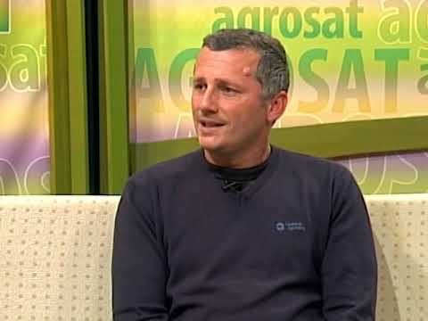 HIBRIDNA PŠENICA REKORDNI PRINOSI IZ CHEMICAL AGROSAVE